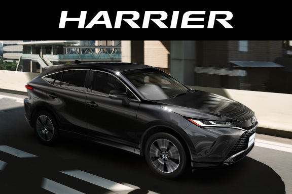 【 鑑定品 PSA9 】　美品　最安値　ホーリーライフバリアー　レリーフ 2025年最新】Yahoo!オークション -ホーリーライフバリアー