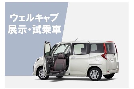展示